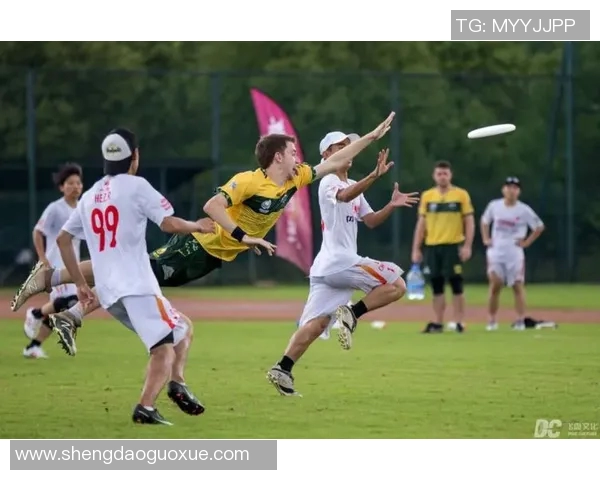 北京飞盘队心理素质分析及其对比赛表现的影响探讨