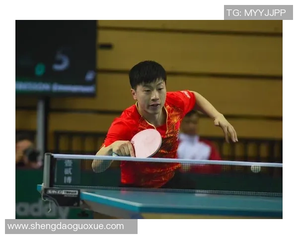 杨敏专访：从乒乓球新星到世界冠军的辉煌历程回顾