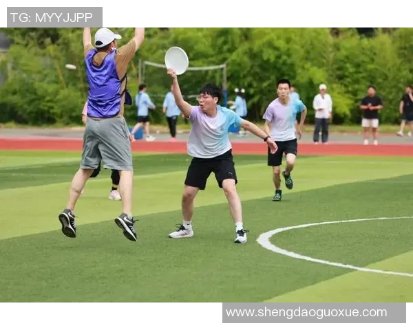 南京飞盘队在全国耐力排行榜中荣登第十名展现出色竞技实力与团队合作精神