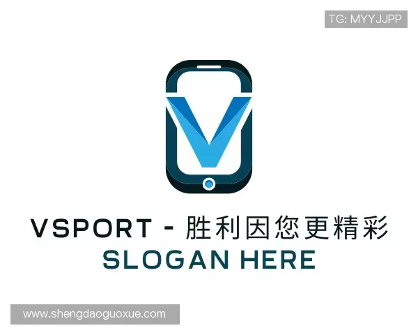 介绍VSport